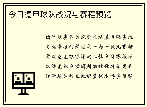 今日德甲球队战况与赛程预览